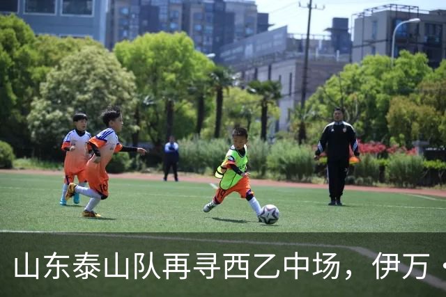山东泰山队再寻西乙中场，伊万·莫兰特能否打破洛佩斯的魔咒？