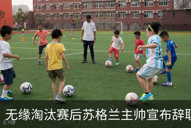 无缘淘汰赛后苏格兰主帅宣布辞职 执教七年出战三届大赛