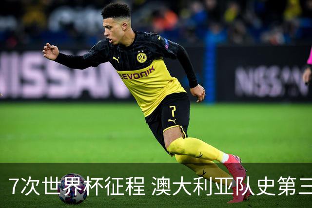 7次世界杯征程 澳大利亚队史第三次小组赛出线